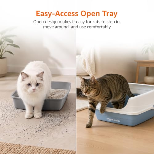 Image of Amazon Basics Premium Cat Litter Tray | Sapcious Open Entry Cat Litter Box | Easy Access & Cleaning Design | Blue + White | 49 x 39 x 18 cm | Suitable for Kittens & Cats