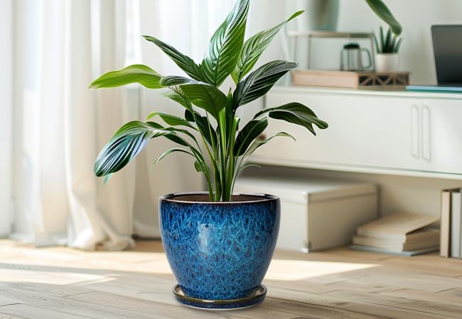 10 Inch Ceramic Planter Pot Round Plant Pot for Indoor Plants Outdoor Large Flower Pot with Drainage Hole and Saucer Blue