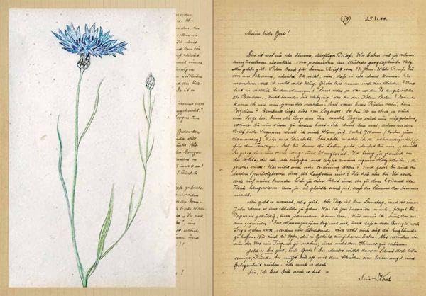 love letters from the war