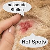 FürDeinTier Skin trocknend | 100 ml Wundschutz- und Wundsalbe | Zinkoxid, Hamamelis, Panthenol, Sheabutter | für alle Tiere geeignet