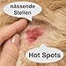 FürDeinTier Skin trocknend | 100 ml Wundschutz- und Wundsalbe | Zinkoxid, Hamamelis, Panthenol, Sheabutter | für alle Tiere geeignet