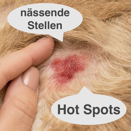 FürDeinTier Skin trocknend | 100 ml Wundschutz- und Wundsalbe | Zinkoxid, Hamamelis, Panthenol, Sheabutter | für alle Tiere geeignet