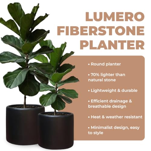 DEPLA LANE Lumero Fiberstone Cylinder Planter, Matte Finishes (XL, Black) by DEPLA LANE - Used condition - Image 5
