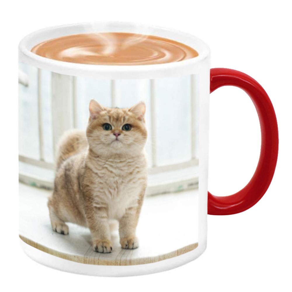 Tazza Personalizzata Che Cambia Colore Con Il Calore - 325ml - Foto, Testo, Nome - Regalo Originale Per Compleanno, Natale, Anniversario - Viola - 2