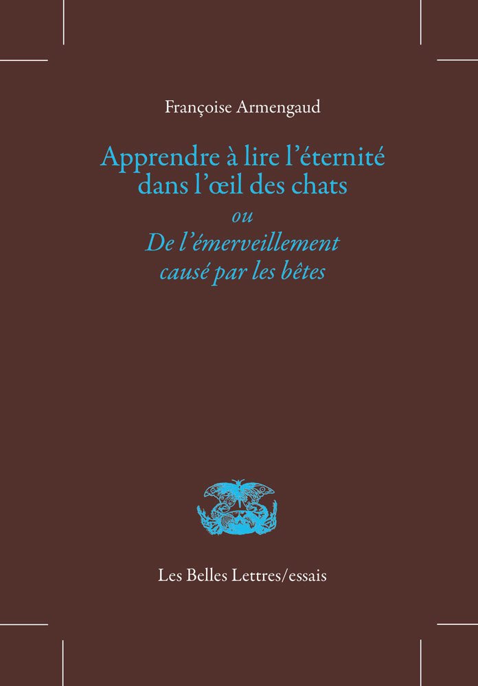 Apprendre à lire l'éternité dans l'oeil des chats ou De l'émerveillement causé par les bêtes