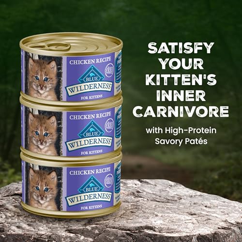 Image of Blue Buffalo Wilderness Kitten Grain-Free Chicken Pate Wet Cat Food with DHA, High-Protein & Made with Natural Ingredients, Supports Healthy Growth & Development, 3-oz. Cans (24 Count)