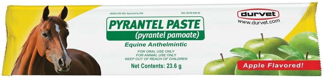 Durvet Pyrantel Paste Dewormer - 1200 lbs : Pet Supplies
