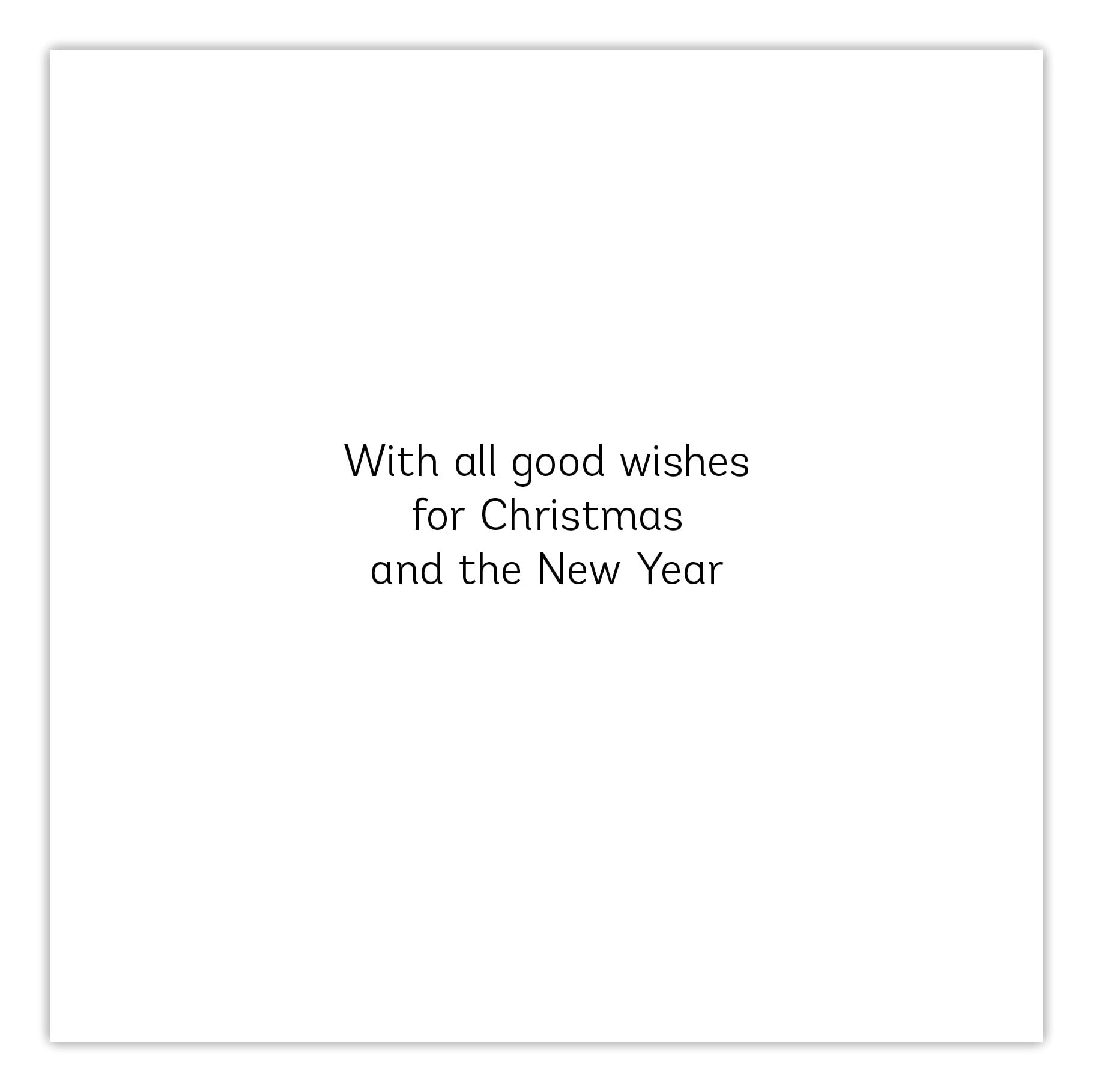 Ling Design Weihnachtskarten Mit Pinguin-Motiv – 6 Karten + Umschläge, 14x14 Cm, Für Wohltätige Zwecke
