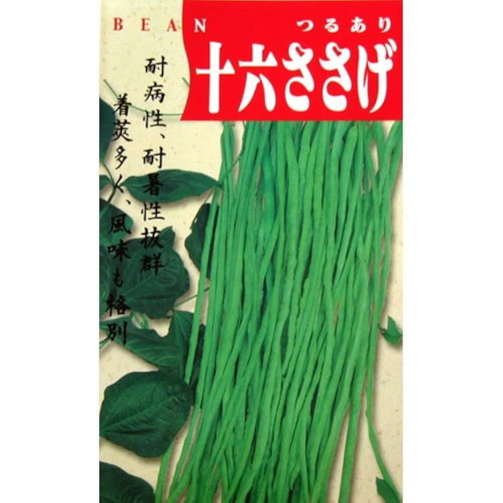 十六ささげの種(自然栽培) Amazon.co.jp: ささげ 種 【 十六ささげ 】 種子 小袋(約15ml
