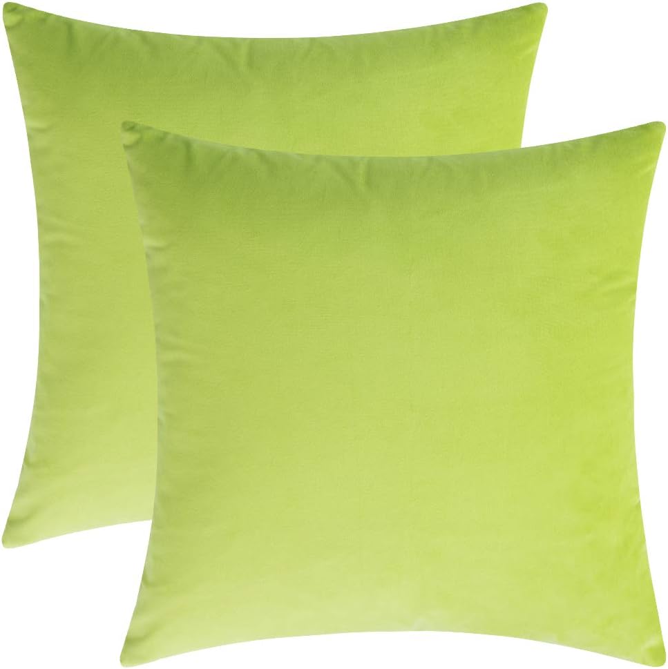 Rythome Set of 2 Comfortable Throw Pillow Cover for Bedding, Decorative Accent Cushion Sham Case for Couch Sofa, Soft Solid Velvet with Zipper Hidden - 18"x18", Apple Green