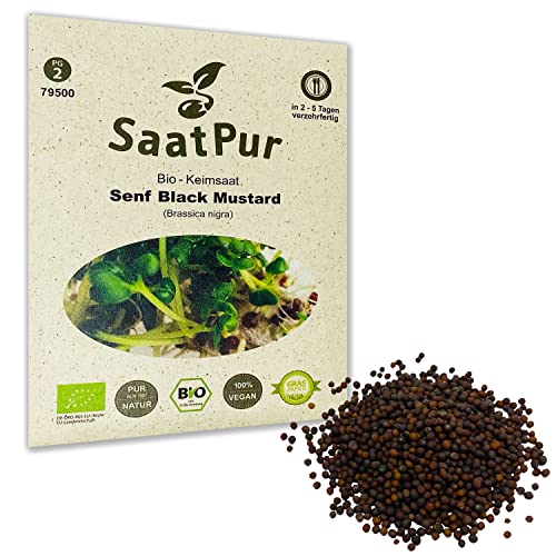 SaatPur Organic Germination Sprouts - Mustard Black Mustard - Microgreens - 30g