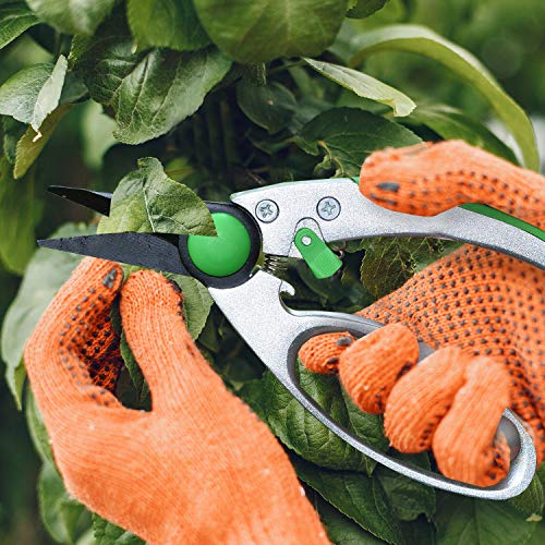 WilFiks Garden Pruning Shears - 8\" Classic Hand Pruner - Secateurs Steel Gardening Scissors with Comfortable Handle and Shock Absorbing Spring - Branch, Stem and Tree Trimmer Hand Tool