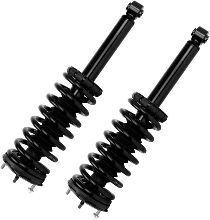 Strut Assembly, Rear Struts Compatible with Maxima 1995-1999, 171293 Set of 2 SAA040, Rear Struts and Shocks Complete Assembly