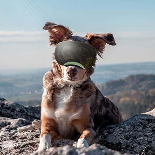 Namsan Dog Goggles Medium-Large Breed Uv Dog Sunglasses Magnetic Clear Black Lens Windproof Snow Sports Pet Glasses, Green #TOP7
