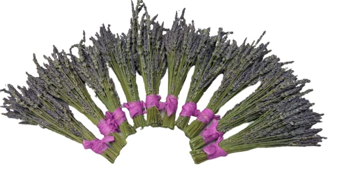Ramilletes naturales de lavanda seca 22-24 pulg miniatura 2