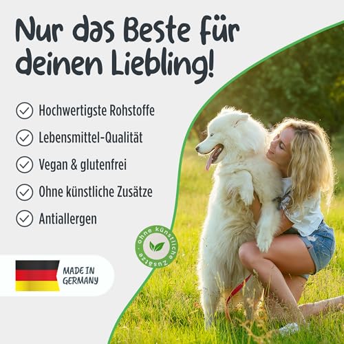 Pets Protect Veggie Snack 150 g | Vegane Leckerlis aus Gemüse & Früchten | Getreidefrei | Ohne künstliche Zusätze | Leckerli für große & kleine Hunde & Welpen | Deutsche Herstellung