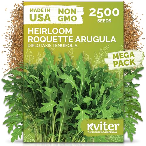 KVITER 2500 Roquette Arugula Seeds (Diplotaxis tenuifolia) - Arugula Fresh Non GMO Perennial Seed Wild/Wall Rocket - Heirloom Herb Seeds for Planting in Outdoor & Indoor Garden