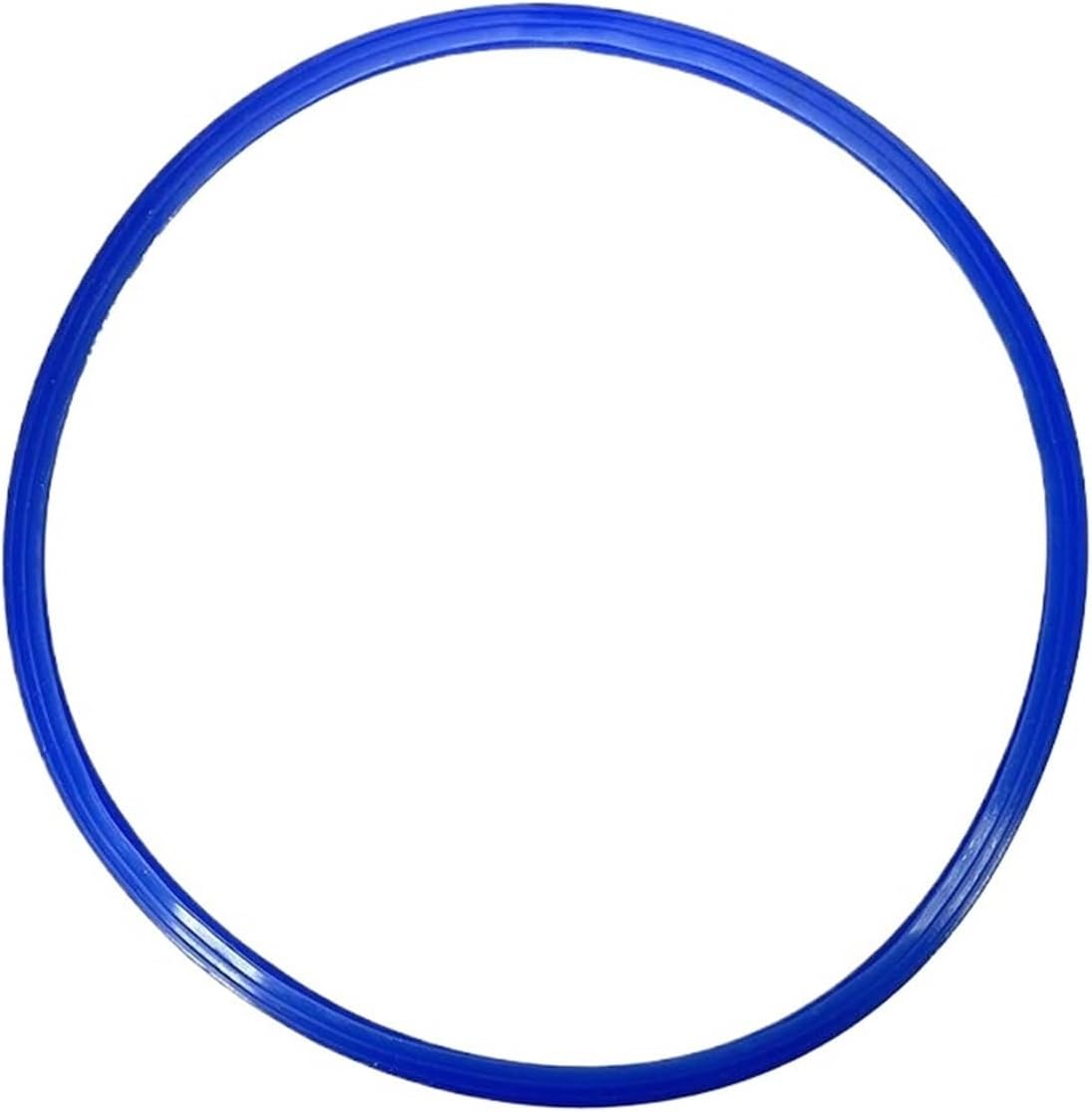 Gasket autoclaves 12L,15-16L Autoclave door gasket sterlization door seal replacement Chamber accessories(PURPLE)