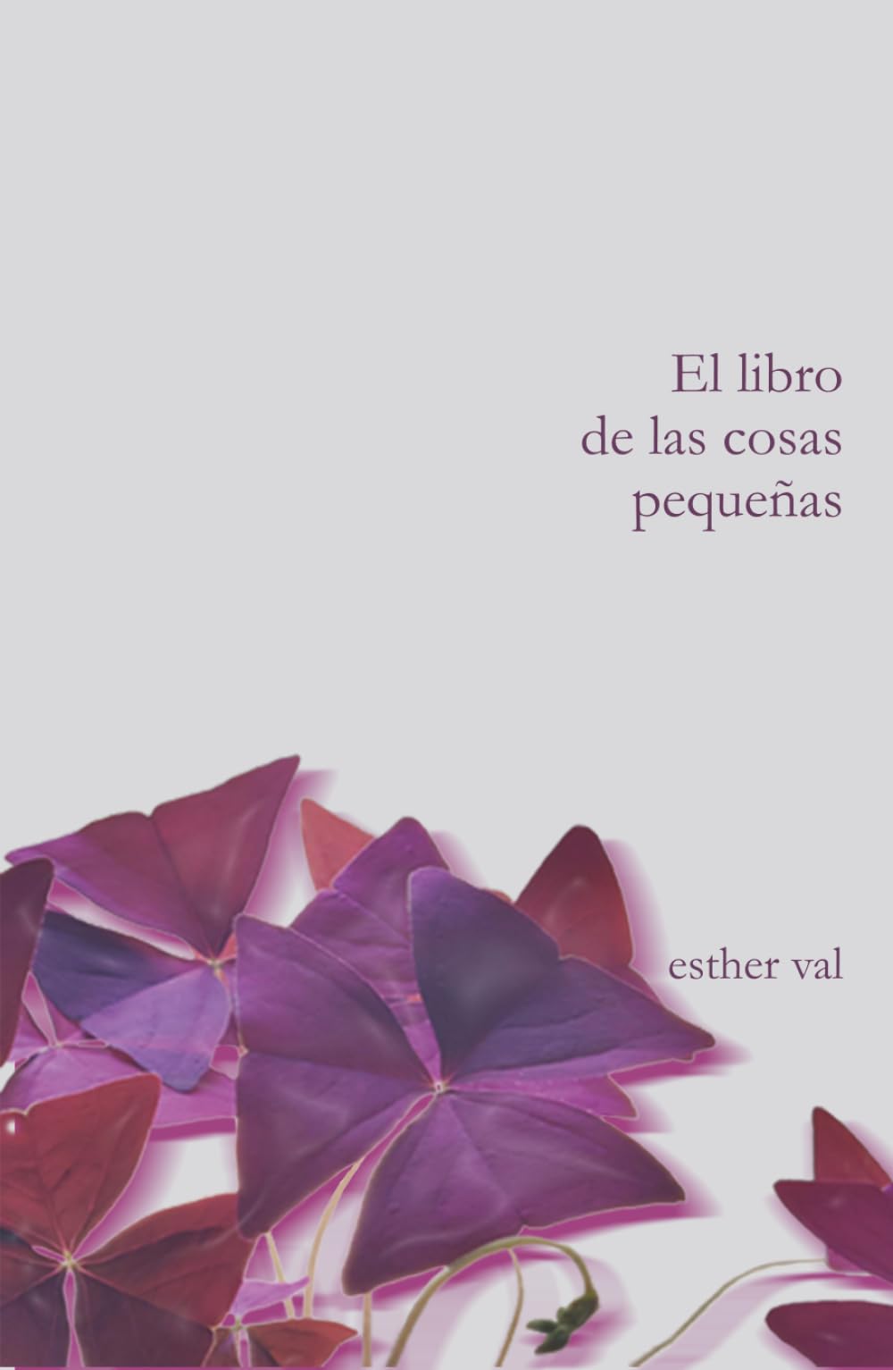 El libro de las cosas pequeñas