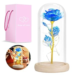 Blue Rose Gifts for Her, Gifts for Mom from Daughter, Forever Light Up Rose Flowers Gift Roses in Glass Dome, Mothers…