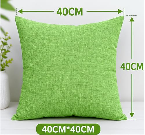 Image of Pillow Cover
