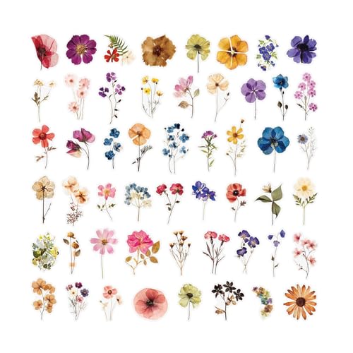 t[V[ - PET A\[g |pI A | Ae[} XebJ[ LbY - j̎q ̎q eB[ q XNbvubLO W[iO bvgbv  X}zP[X p