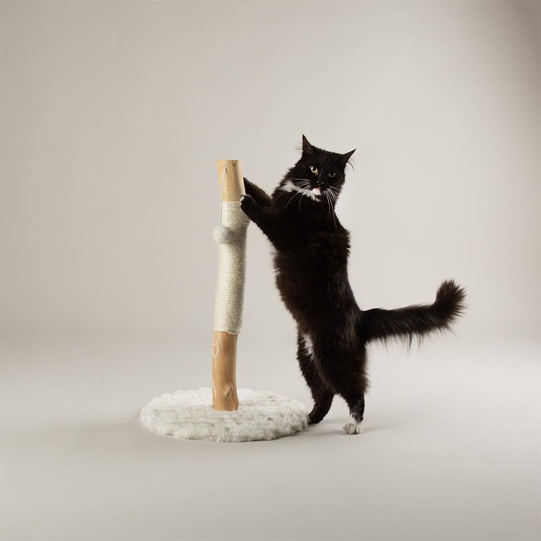 Scruffs Rockies Cat Scratching Tree
