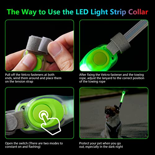Flintronic LED Leuchthalsband Hunde Halsband, Leuchtend Hundehalsband, Sicherheits LED Leuchtband für Hunde Katzen, LED Licht Blinklicht mit Klettverschluss, Helle Sicherheit für Die Nacht