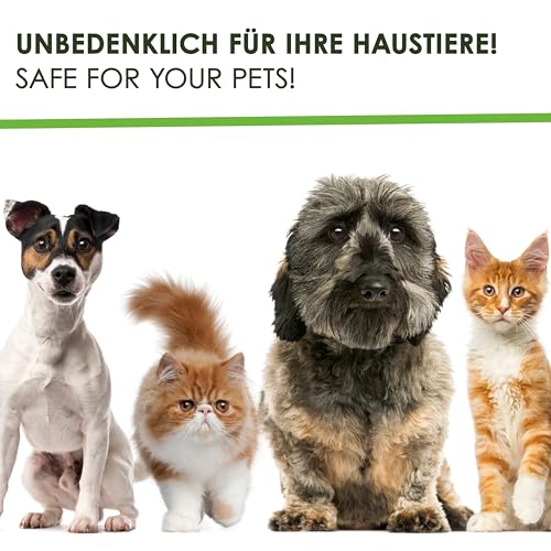 FLOTEX Anti-Giardien Wischkonzentrat 5L I Hocheffektives Giardien Desinfektionsmittel für alle Oberflächen I Wirksames Desinfektionsmittel für Giardien für den Haushalt