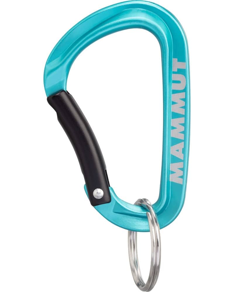 Amazon.co.jp: マムート MAMMUT ミニカラビナ クラシック キー