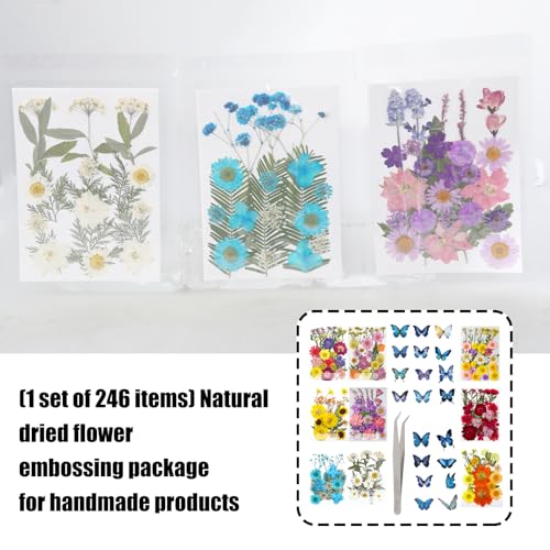 205 piezas de flores secas prensadas para artesanía miniatura 4