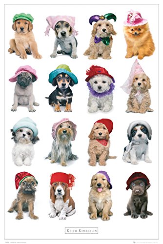 GB Eye Grande Affiche Keith Kimberlin Chapeaux 61 x 91,5 cm