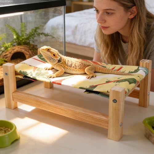 Cama de dragón barbudo con base elevada para optimizar la termorregulación de reptiles 3