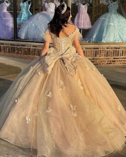 3D Butterfly Quinceanera Dresses for Teens Off Shoulder Ball Gowns Puffy Tulle Prom Princess Dresses4