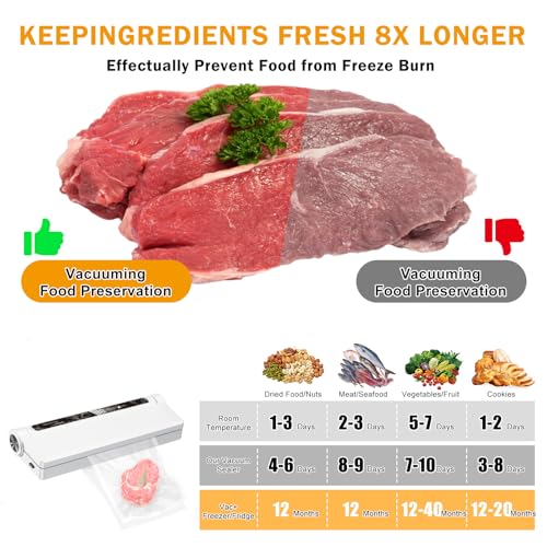Food Vacuum Sealer with Bags
