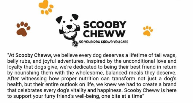 Scooby Cheww Dog Food Meal Topper Powder, 80g (30 Servings) | High Protein & Omega-3 Enriched Nutritional Supplement for Dogs | Suitable for All Breeds & Life Stages 4