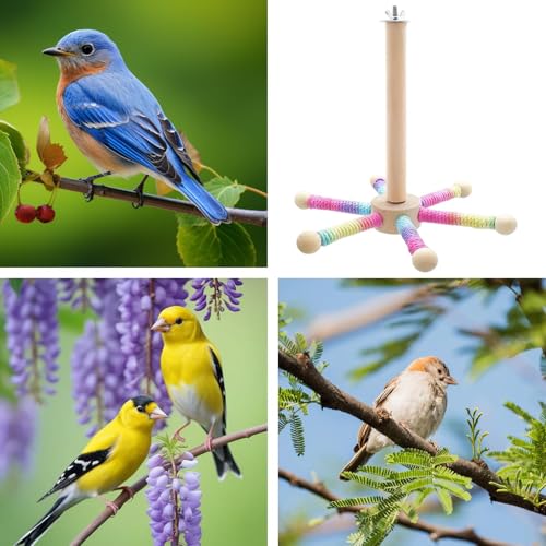 Roue d'exercice pour oiseau interactive et résistante aux coups de bec - 5