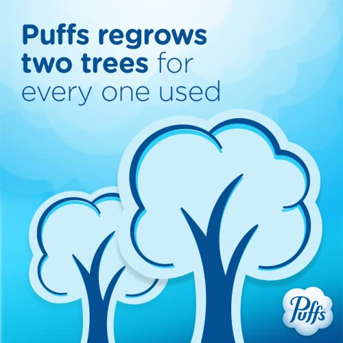 Puffs Ultra Soft Non-Lotion Facial Tissue, 8 Family Boxes, 124 Facial Tissues Per Box #TOP5