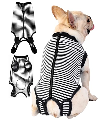 Sychien  L Jo[ X[c p v ybg Jo[ Vc       XL