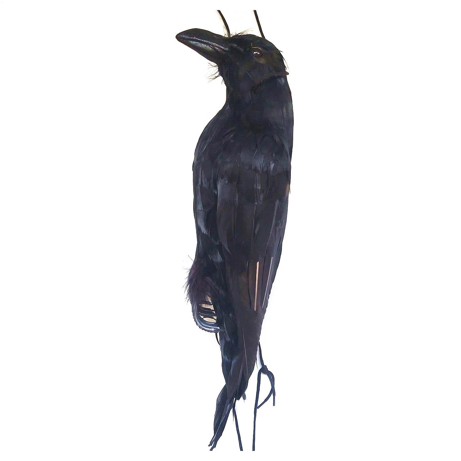 Duvcoywae Hanging Crow Bird Scarer - 16.93Inch Simulation Crow, Dead Crow Halloween Prop, Get Rid Of Crows, For Halloween Bar Ornament, Scary Prop Outdoor Garden Yard Decor Birds Dead Crows Decoy