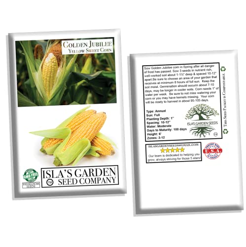 Golden Jubilee Yellow Sweet Corn Seeds For Planting, 30+ Seeds Per Packet, (Isla's Garden Seeds), Non Gmo & Heirloom Seeds, Botanical Name: Corn Zea Mays, Great Home Garden Gift #TOP5