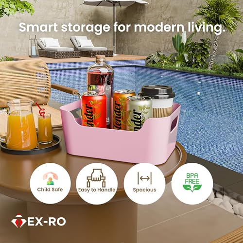 Image of TEX-RO Storage Box and Organiser | Storage Organiser | Organizer Storage Box for Home & Kitchen | Durable Storage Basket & Plastic Basket for Storage (Pack of 2, Light Pink)