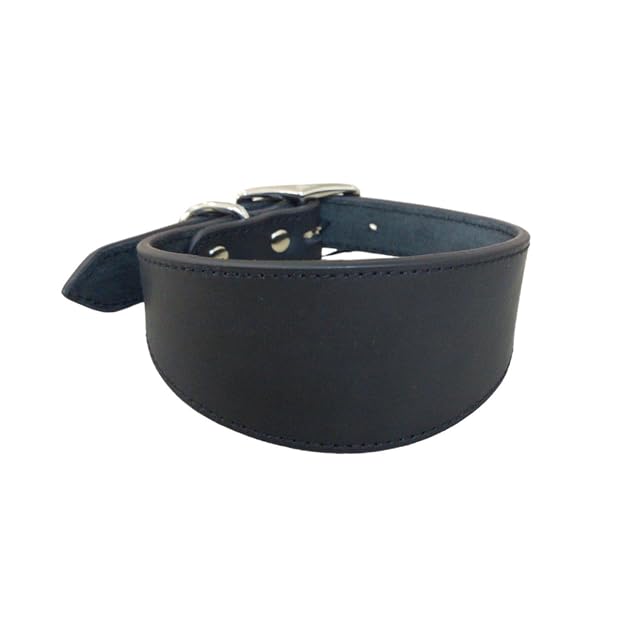Collar ajustable para perros, collares anchos de cuero para perros grandes, galgos italianos