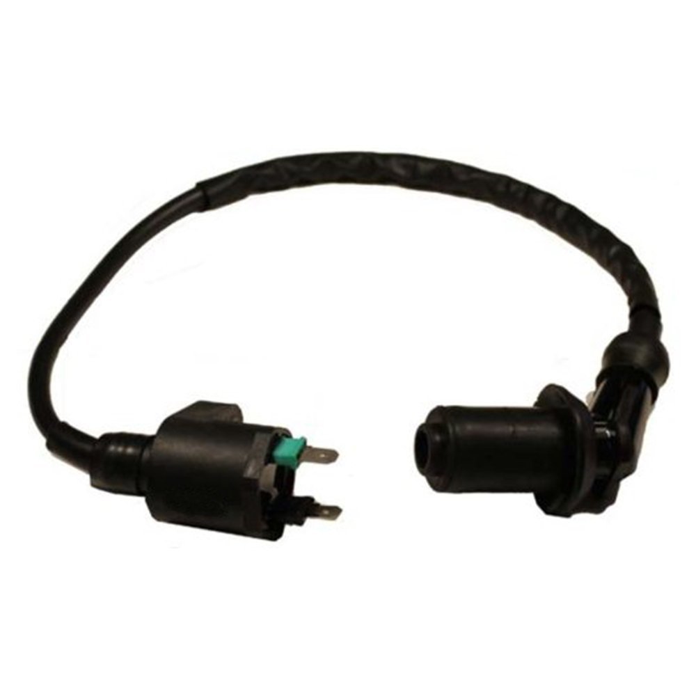 Amhousejoy Ignition Coil for 150cc 250cc Hammerhead Carter Joyner Scooter Moped Go Kart Dune Buggy
