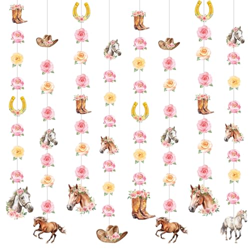 Daifunli Cowgirl Party Decorations