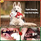 LECHONG 3-Pack Weihnachten Hundespielzeug, Hund Quietsche Spielzeug Plüsch Hund Kauspielzeug Bundle, interaktive Weihnachten Hundespielzeug für Welpen kleine mittlere große Hunde