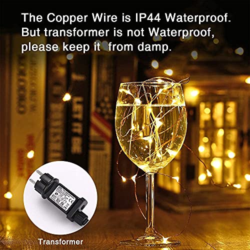 BrizLabs Luci Natale Esterno 10M 100 LED Catene