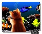 YENDOSTEEN Cojín de ratón temático del Juego de los Pescados, cojín de ratón del Gatito y del Acuario, Mousepad (cojín de ratón de los Gatos)