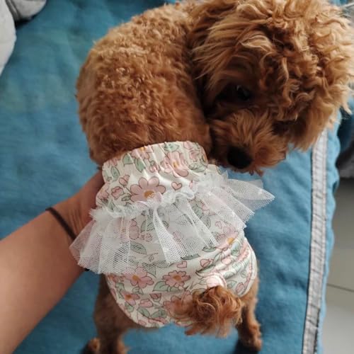 Image of Small Dog Sanitary Panties, Lace Washable Reusable Cute Puppy Panties Pet Underwear Diaper Physiological Shorts for Female Girls Dogs (Flower Leaves,XS)