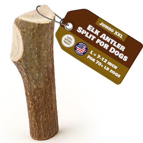 Jumbo Elk Antler Split for Dogs –XXL G Natural Premium Grade A. Antler Chew. Naturally Shed, Hand-Picked, and Made in The USA. NO Odor, NO Mess. GUARENTEED SATISIFACTION. for Dogs 70-90+ Lbs.